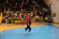 Izvidjac_Linc_12
