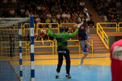 Izvidjac_Linc_3