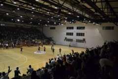 skauti-15