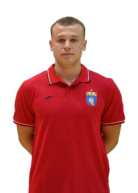 Amer Šahinović