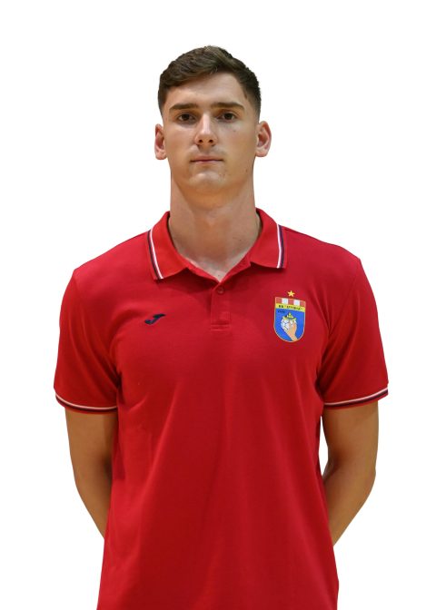 Matej Šimić