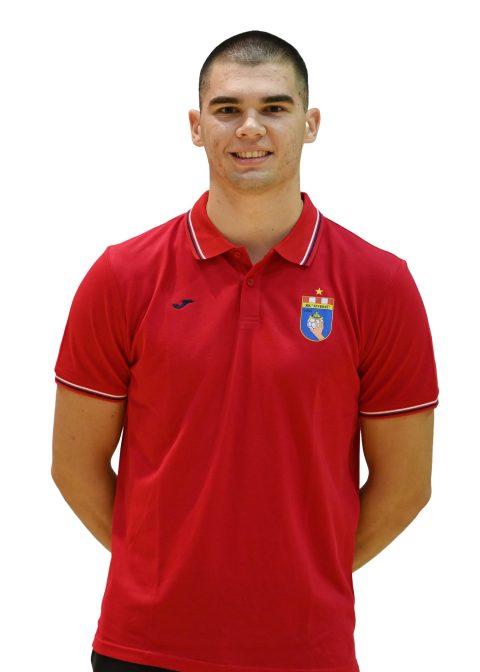 Mile Lasić