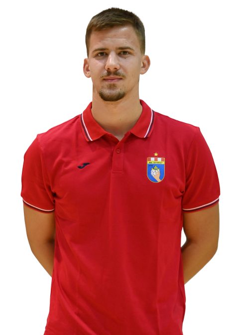 Mihael Mandić