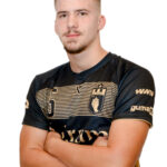 Mihael Mandić