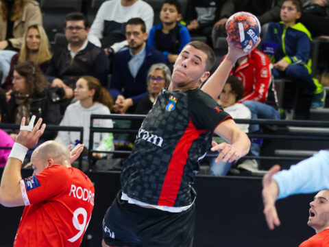 Odličnim rolama Diana Ćeške i Aldina Alihodžića “Skauti” do punog plijena u Živinicama